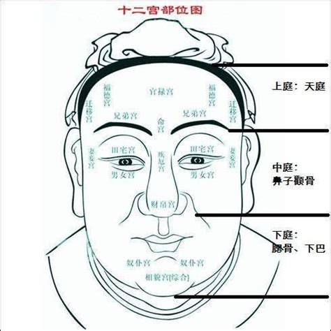 額頭運幾歲|從面相看你20歲到60歲運勢